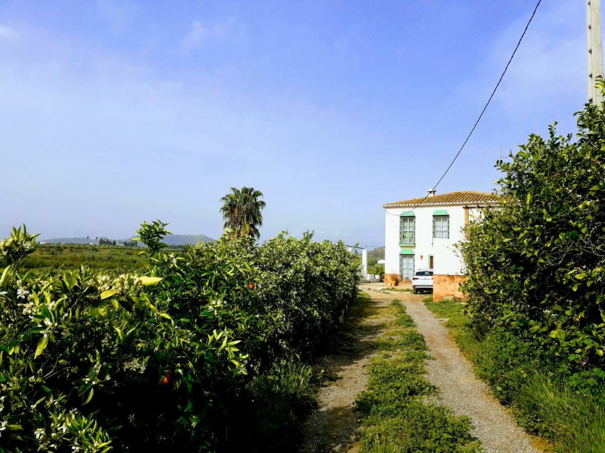Casa Rural La Estrella ปิซาร์รา ภายนอก รูปภาพ